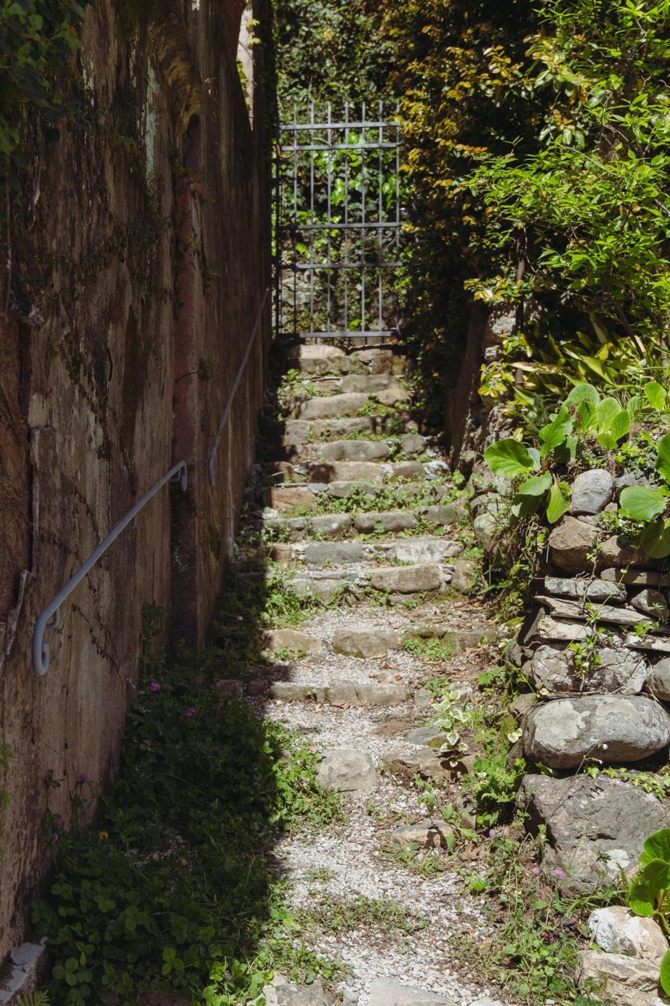 Residenza Nemus Olea Mare E Montagna Graveglia Exterior photo