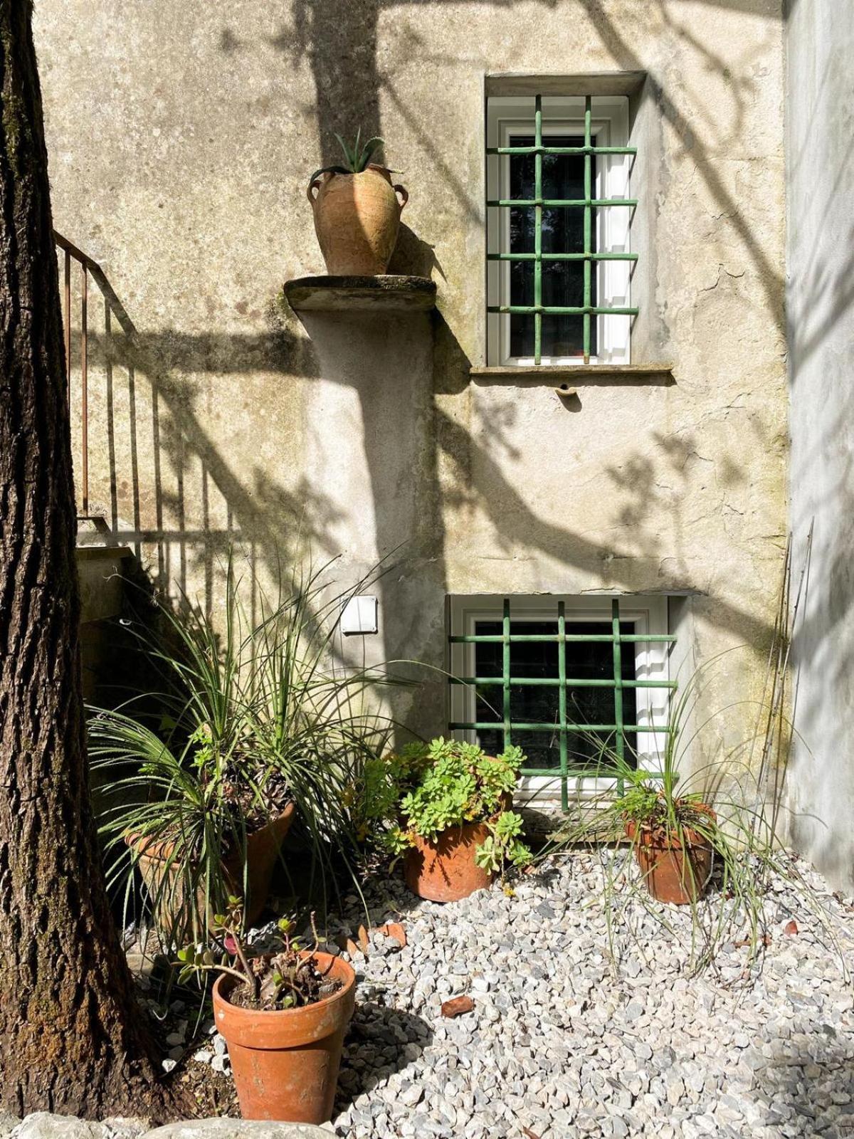 Residenza Nemus Olea Mare E Montagna Graveglia Exterior photo