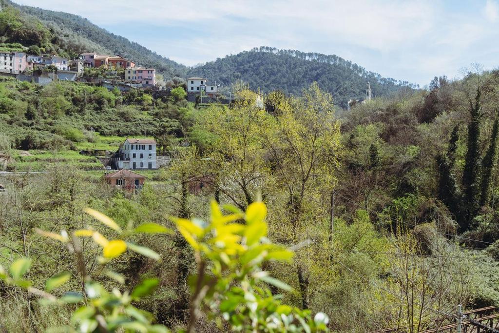 Residenza Nemus Olea Mare E Montagna Graveglia Exterior photo