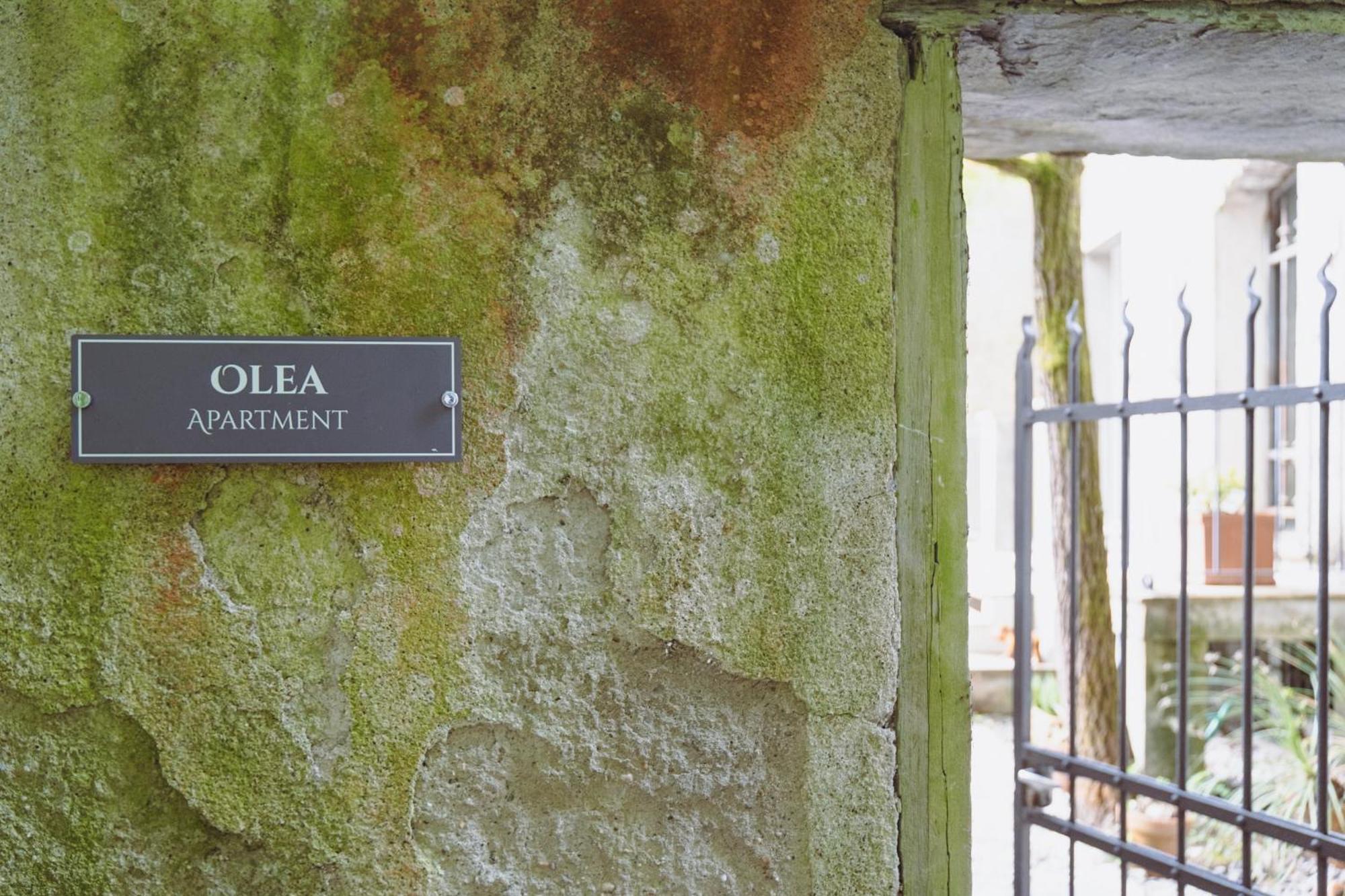 Residenza Nemus Olea Mare E Montagna Graveglia Exterior photo